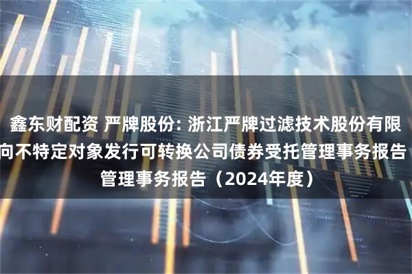 鑫东财配资 严牌股份: 浙江严牌过滤技术股份有限公司2024年向不特定对象发行可转换公司债券受托管理事务报告（2024年度）